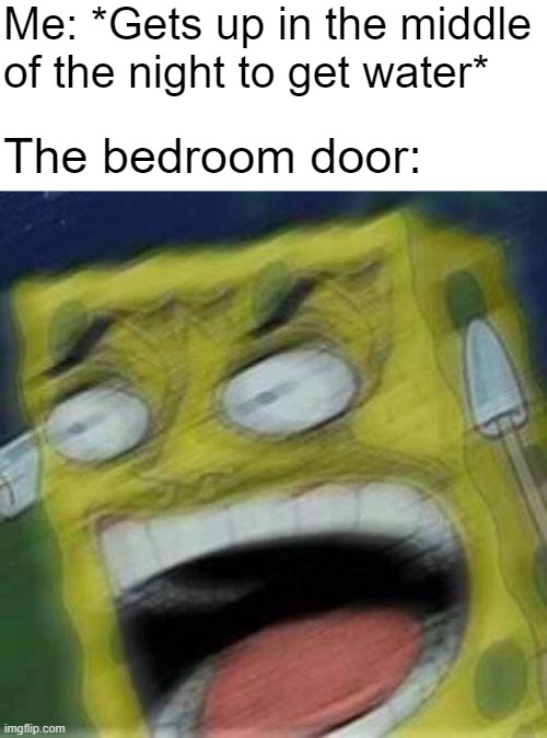 Bedroom doors at 3 in the morning | Me: *Gets up in the middle of the night to get water*; The bedroom door: | image tagged in reeeeeee,memes,funny memes,funny | made w/ Imgflip meme maker