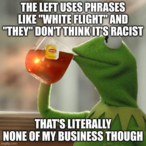 Tom..Tom Richard Petty.. | THE LEFT USES PHRASES LIKE "WHITE FLIGHT" AND "THEY" DON'T THINK IT'S RACIST; THAT'S LITERALLY NONE OF MY BUSINESS THOUGH | image tagged in memes,but that's none of my business,kermit the frog | made w/ Imgflip meme maker