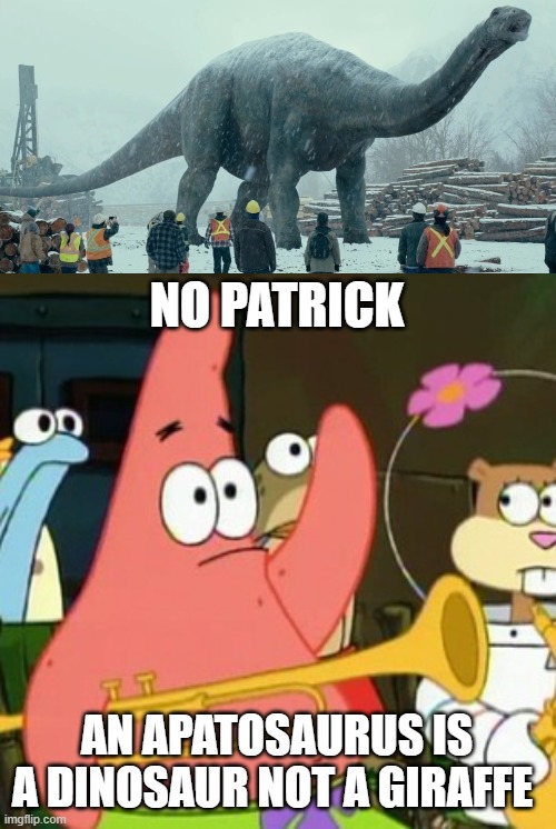 Patrick gets confused between an apatosaurus and a giraffe | NO PATRICK; AN APATOSAURUS IS A DINOSAUR NOT A GIRAFFE | image tagged in memes,no patrick,dinosaur | made w/ Imgflip meme maker
