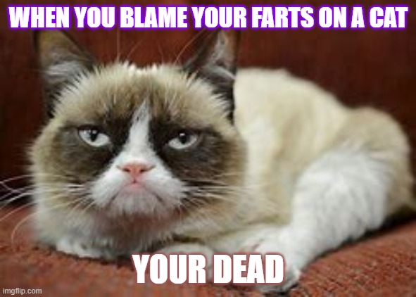 When you blame a fart on a cat |  WHEN YOU BLAME YOUR FARTS ON A CAT; YOUR DEAD | image tagged in grumpy cat | made w/ Imgflip meme maker
