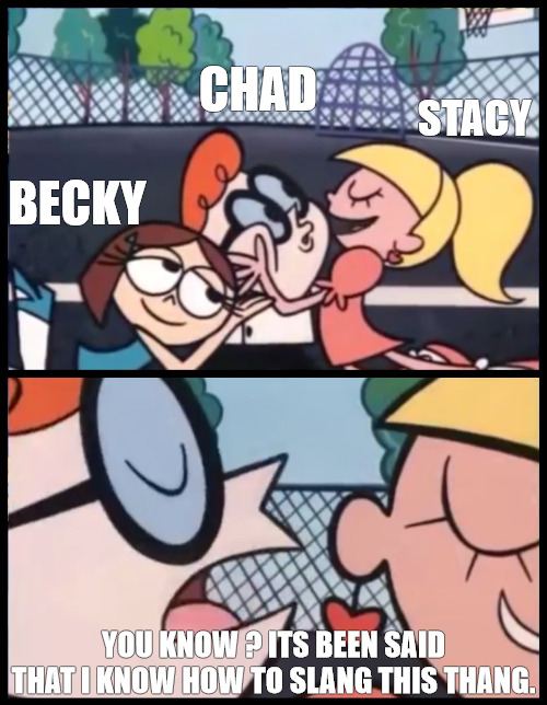 IM ALL THAT AND A BAG OF CHIPS LADIES | CHAD; STACY; BECKY; YOU KNOW ? ITS BEEN SAID THAT I KNOW HOW TO SLANG THIS THANG. | image tagged in country slang,meme | made w/ Imgflip meme maker