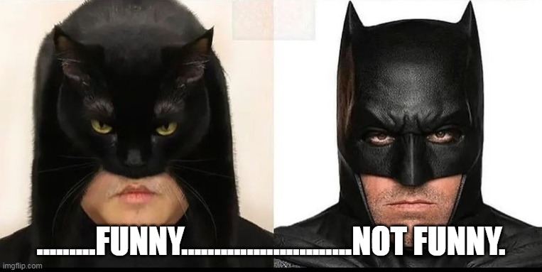 Catman Batman | .........FUNNY..........................NOT FUNNY. | image tagged in catman batman | made w/ Imgflip meme maker