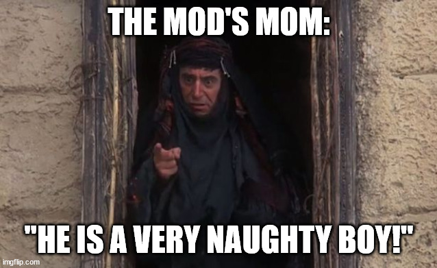 He’s a very naughty boy | THE MOD'S MOM: "HE IS A VERY NAUGHTY BOY!" | image tagged in he s a very naughty boy | made w/ Imgflip meme maker