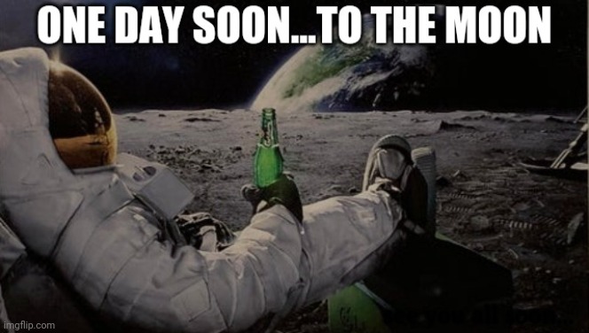 Year One | see you all soon... | image tagged in moon,ape,apes,astronaut,memes | made w/ Imgflip meme maker