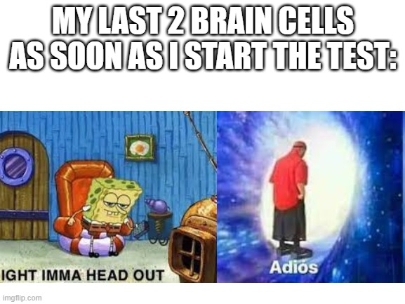 My last 2 braincells doing me wrong |  MY LAST 2 BRAIN CELLS AS SOON AS I START THE TEST: | image tagged in spongebob ight imma head out,adios | made w/ Imgflip meme maker