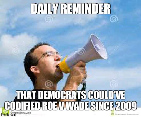 Instead, they recentlly codified the already illegal sale of illegal assult guns. What does that tell you? | DAILY REMINDER; THAT DEMOCRATS COULD'VE CODIFIED ROE V WADE SINCE 2009 | image tagged in daily reminder man,abortion | made w/ Imgflip meme maker
