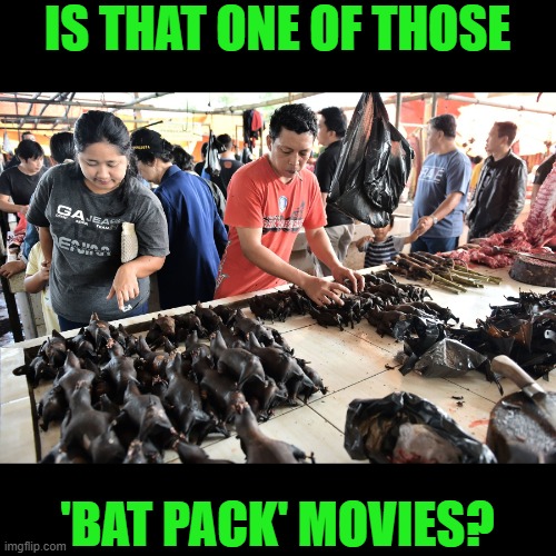IS THAT ONE OF THOSE 'BAT PACK' MOVIES? | made w/ Imgflip meme maker