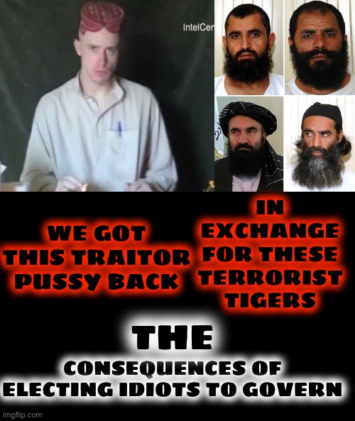 WE GOT THIS TRAITOR PUSSY BACK IN EXCHANGE FOR THESE TERRORIST TIGERS CONSEQUENCES OF ELECTING IDIOTS TO GOVERN THE | image tagged in black blank | made w/ Imgflip meme maker