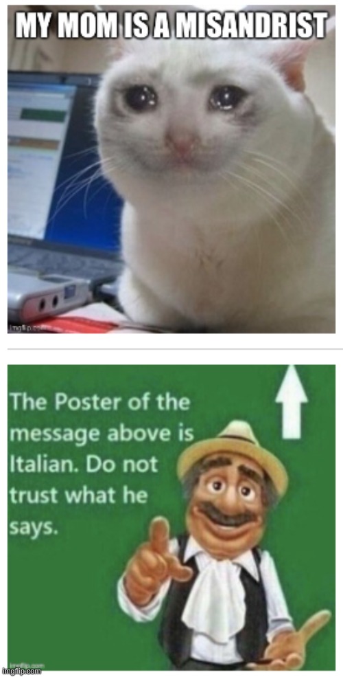 ITALIAN CAT | image tagged in memes,funnu,italian,cat,imgflip,stop reading the tags | made w/ Imgflip meme maker