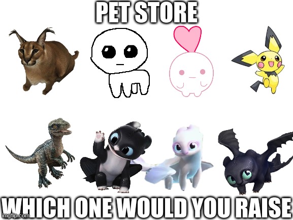 Pet Store | PET STORE; WHICH ONE WOULD YOU RAISE | image tagged in blank white template,pets | made w/ Imgflip meme maker