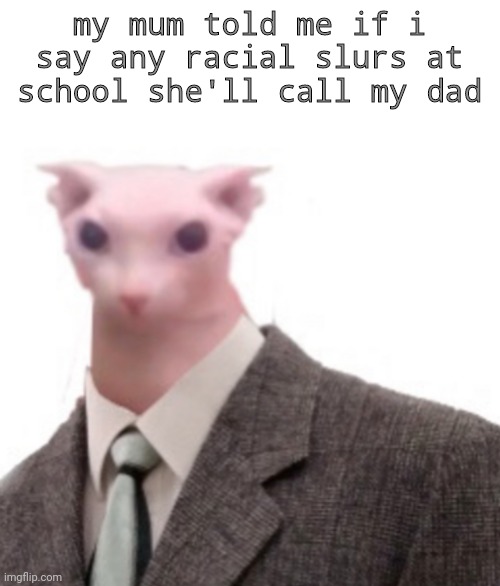 I'm too nice to be myself in public | my mum told me if i say any racial slurs at school she'll call my dad | image tagged in bingus | made w/ Imgflip meme maker