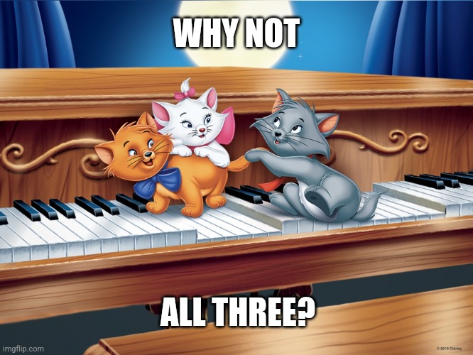 Why Not All Three? | WHY NOT; ALL THREE? | image tagged in cats,funny,disney,cute kittens | made w/ Imgflip meme maker