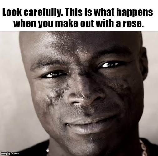 Kiss From A Rose | Look carefully. This is what happens 
when you make out with a rose. | image tagged in seal,music,funny memes,memes,dark humor,jokes | made w/ Imgflip meme maker