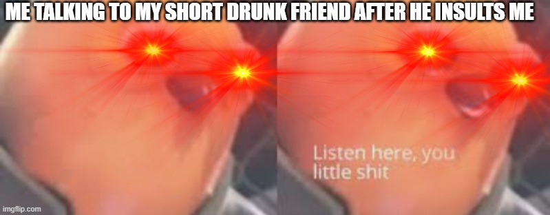 LITTLE SHIT | ME TALKING TO MY SHORT DRUNK FRIEND AFTER HE INSULTS ME | image tagged in listen here you little shit,funny,bird | made w/ Imgflip meme maker