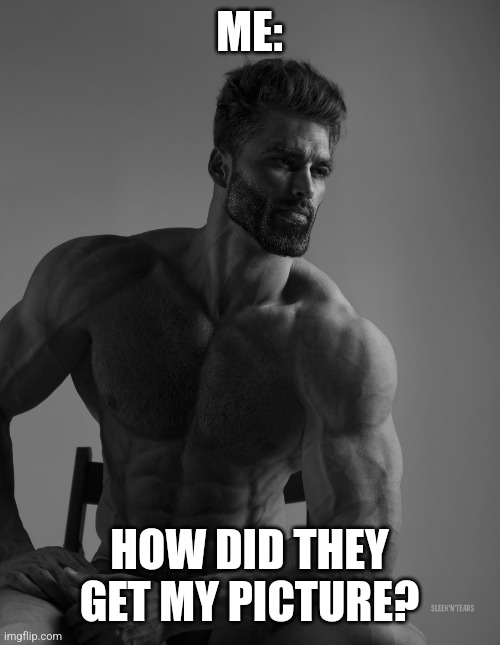 Giga Chad | ME:; HOW DID THEY GET MY PICTURE? | image tagged in giga chad | made w/ Imgflip meme maker