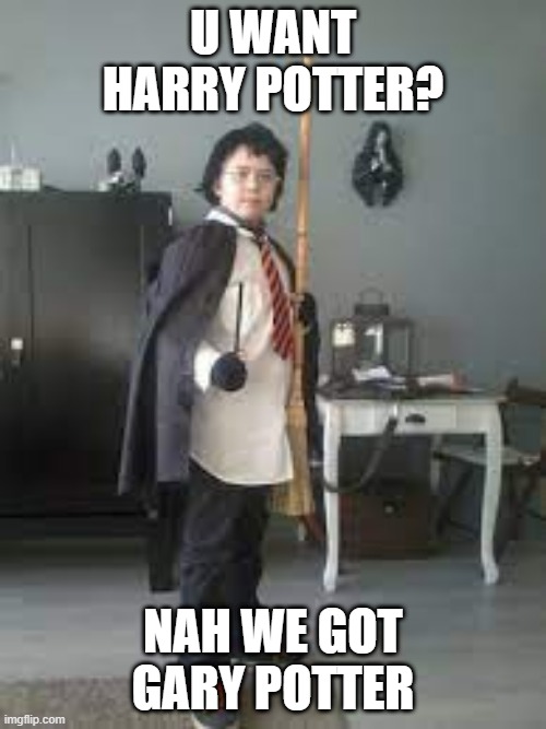 wallmart harry potter | U WANT HARRY POTTER? NAH WE GOT GARY POTTER | image tagged in crappy harry potter | made w/ Imgflip meme maker