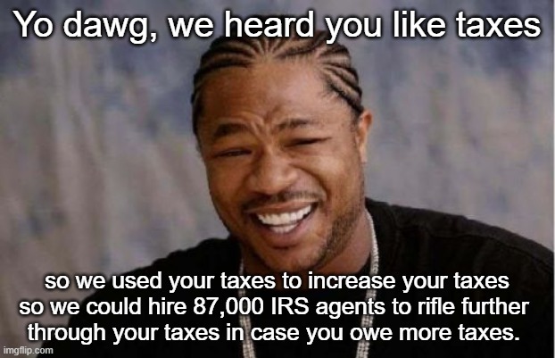 Take THAT. inflation | Yo dawg, we heard you like taxes; so we used your taxes to increase your taxes so we could hire 87,000 IRS agents to rifle further 
through your taxes in case you owe more taxes. | image tagged in memes,yo dawg heard you | made w/ Imgflip meme maker