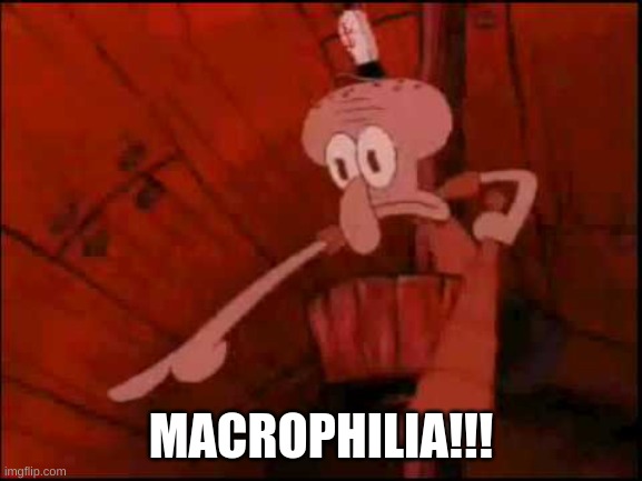 Squidward pointing | MACROPHILIA!!! | image tagged in squidward pointing | made w/ Imgflip meme maker