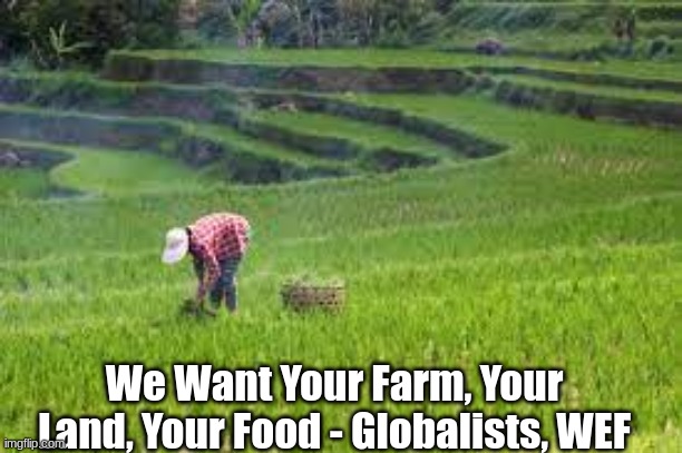 We Want Your Farm, Your Land, Your Food - Globalists, WEF  (Video)