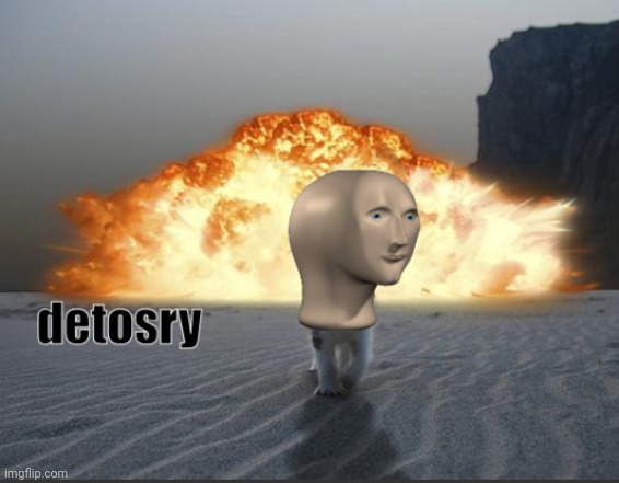 Meme Cat Detosry | image tagged in meme cat detosry | made w/ Imgflip meme maker