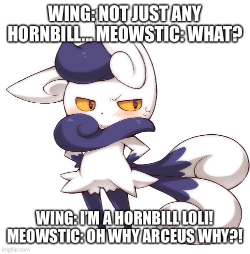 Meowstic and wing had a conversation | WING: NOT JUST ANY HORNBILL... MEOWSTIC: WHAT? WING: I’M A HORNBILL LOLI! MEOWSTIC: OH WHY ARCEUS WHY?! | image tagged in meowstic,conversation | made w/ Imgflip meme maker