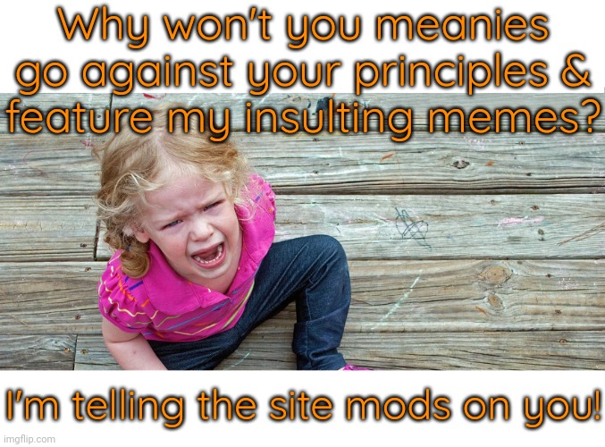 They sure envy us. | Why won't you meanies go against your principles &
feature my insulting memes? I'm telling the site mods on you! | image tagged in tantrum,cry about it,childish,conservative,jealousy | made w/ Imgflip meme maker