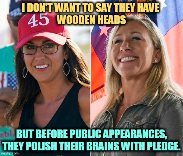 I DON'T WANT TO SAY THEY HAVE 
WOODEN HEADS; BUT BEFORE PUBLIC APPEARANCES,
THEY POLISH THEIR BRAINS WITH PLEDGE. | image tagged in dumb and dumber,idiots,boebert,greene | made w/ Imgflip meme maker