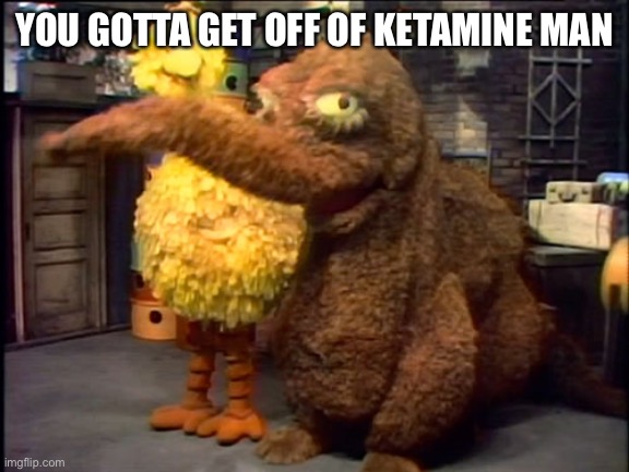 (Snorting sounds) | YOU GOTTA GET OFF OF KETAMINE MAN | image tagged in big bird is concerned | made w/ Imgflip meme maker