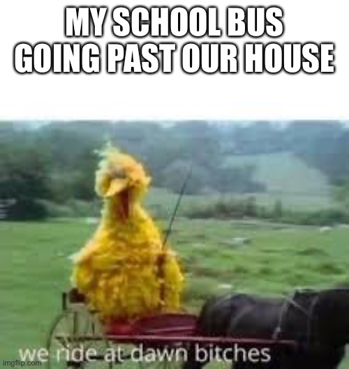 It’s 12:58 | MY SCHOOL BUS GOING PAST OUR HOUSE | image tagged in big bird at dawn | made w/ Imgflip meme maker