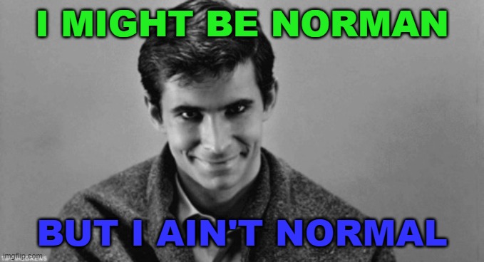 I might be Norman but I ain't normal | I MIGHT BE NORMAN; BUT I AIN'T NORMAL | image tagged in norman bates | made w/ Imgflip meme maker