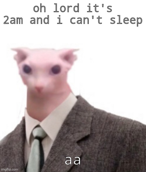 I have to do a lot of chores and i ran out of sleeping pills | oh lord it's 2am and i can't sleep; aa | image tagged in bingus | made w/ Imgflip meme maker