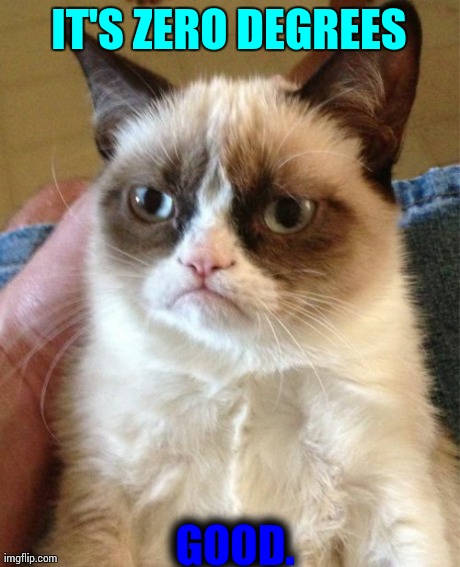 Grumpy Cat | IT'S ZERO DEGREES GOOD. | image tagged in memes,grumpy cat | made w/ Imgflip meme maker
