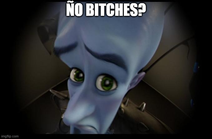 No B****es? | ÑO BITCHES? | image tagged in no b es | made w/ Imgflip meme maker