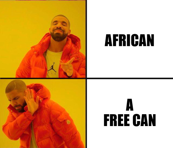 THE BEST THINGS IN LYFE ARE FREE! | AFRICAN; A FREE CAN | image tagged in drake yes no reverse,meme,drake | made w/ Imgflip meme maker