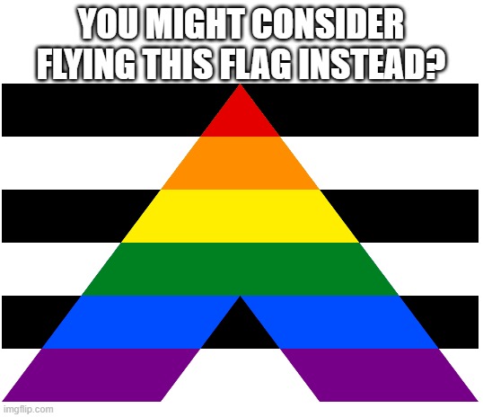 YOU MIGHT CONSIDER FLYING THIS FLAG INSTEAD? | image tagged in blank white template | made w/ Imgflip meme maker
