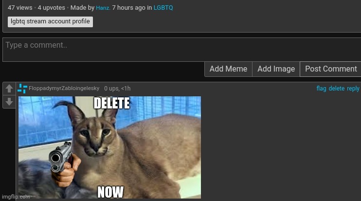 made w/ Imgflip meme maker