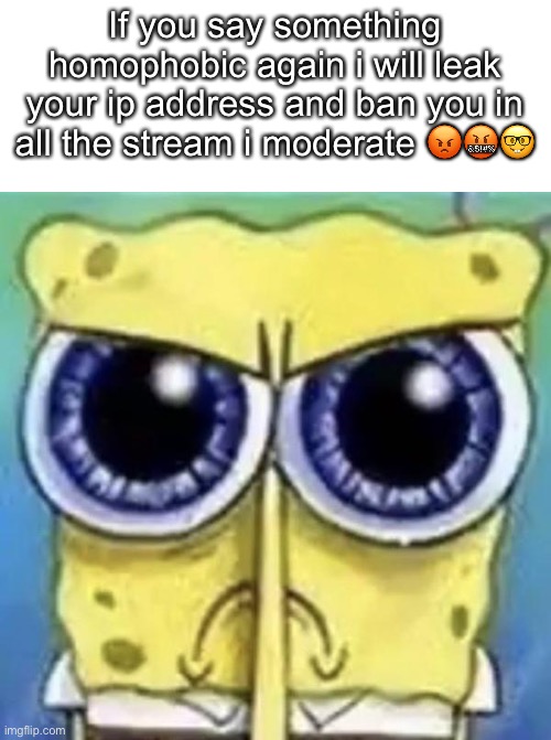 If you say something homophobic again i will leak your ip address and ban you in all the stream i moderate 😡🤬🤓 | made w/ Imgflip meme maker