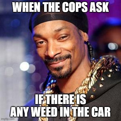 When the cops ask if there is any weed in the car |  WHEN THE COPS ASK; IF THERE IS ANY WEED IN THE CAR | image tagged in snoop dogg | made w/ Imgflip meme maker