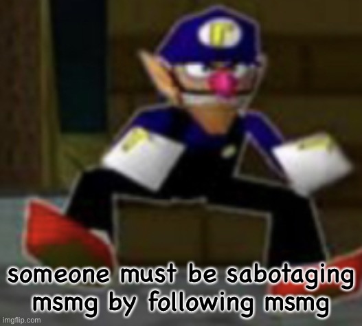 wah male | someone must be sabotaging msmg by following msmg | image tagged in wah male | made w/ Imgflip meme maker