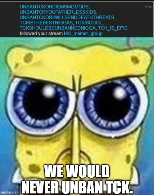ban the spammed alts out of imgflip if you are a site mod. | WE WOULD NEVER UNBAN TCK. | image tagged in angry spunch bop | made w/ Imgflip meme maker