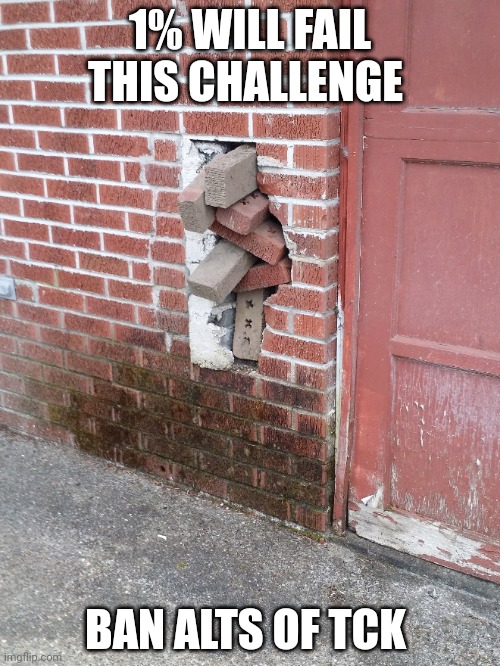 The j | 1% WILL FAIL THIS CHALLENGE; BAN ALTS OF TCK | image tagged in the j | made w/ Imgflip meme maker