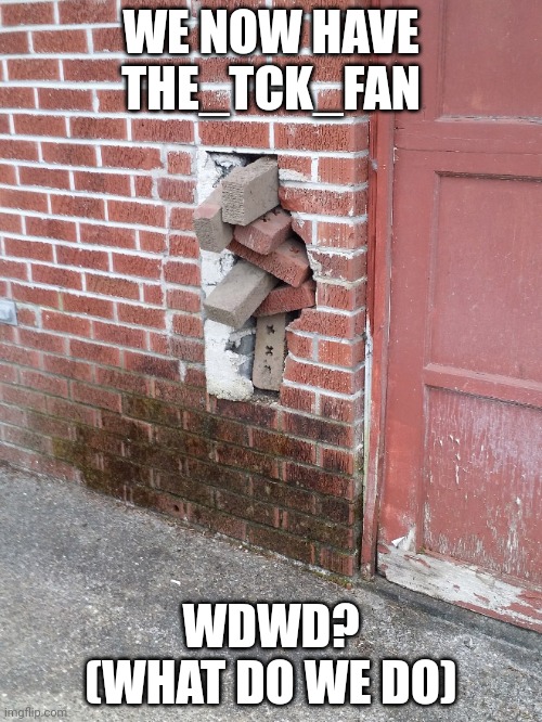 The j | WE NOW HAVE THE_TCK_FAN; WDWD? (WHAT DO WE DO) | image tagged in the j | made w/ Imgflip meme maker