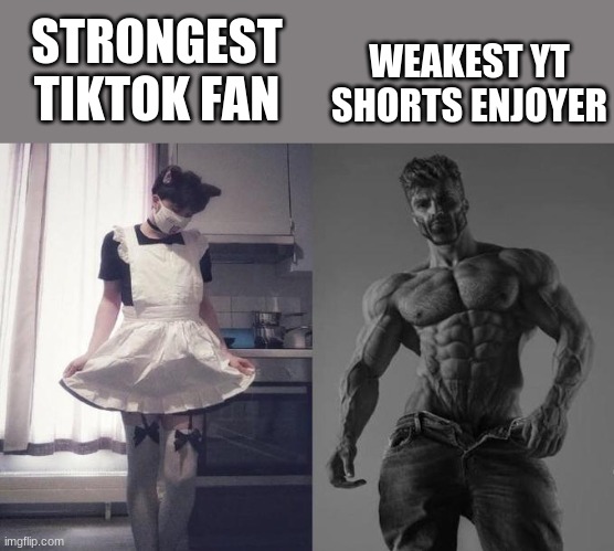 Strongest Fan VS Weakest Fan | STRONGEST TIKTOK FAN WEAKEST YT SHORTS ENJOYER | image tagged in strongest fan vs weakest fan | made w/ Imgflip meme maker