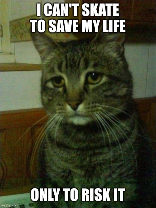 Depressed Cat |  I CAN'T SKATE TO SAVE MY LIFE; ONLY TO RISK IT | image tagged in memes,depressed cat | made w/ Imgflip meme maker