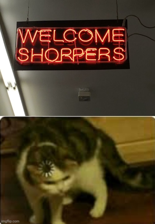 "Welcome Shorpers" | image tagged in buffering cat,shoppers,shorpers,you had one job,memes,spelling error | made w/ Imgflip meme maker