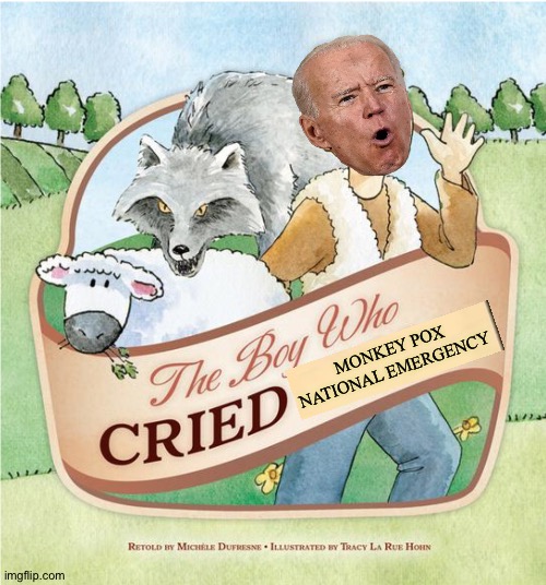 This book is for ages 5 and up. Even Joe Biden could understand it. | MONKEY POX NATIONAL EMERGENCY | image tagged in boy who cried wolf | made w/ Imgflip meme maker