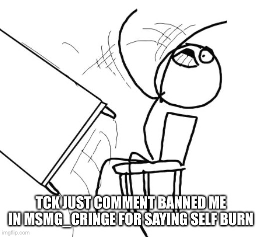 What an asshole | TCK JUST COMMENT BANNED ME IN MSMG_CRINGE FOR SAYING SELF BURN | image tagged in memes,table flip guy | made w/ Imgflip meme maker