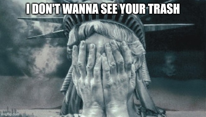 New law to clean up the streets issuing fines | I DON'T WANNA SEE YOUR TRASH | image tagged in statue of liberty crying | made w/ Imgflip meme maker