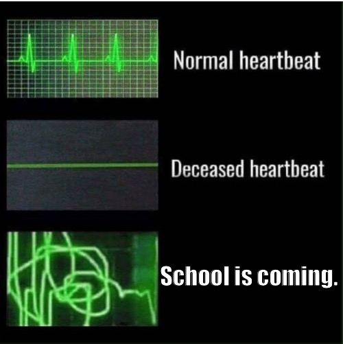 Be brave soldiers.. Be brave | School is coming. | image tagged in heartbeat normal heartbeat deceased heartbeat | made w/ Imgflip meme maker