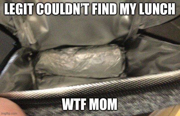 Bro fr | LEGIT COULDN’T FIND MY LUNCH; WTF MOM | image tagged in yo dawg heard you | made w/ Imgflip meme maker